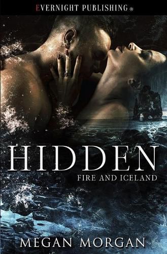 Cover image for Hidden