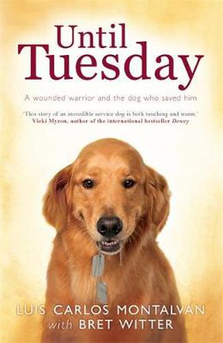 Cover image for Until Tuesday