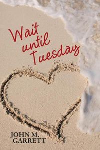 Cover image for Wait until Tuesday