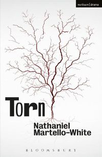 Cover image for Torn