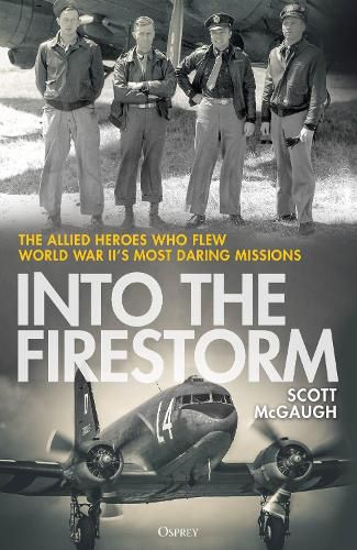 Cover image for Into the Firestorm