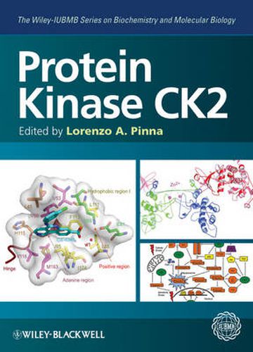 Cover image for Protein Kinase CK2