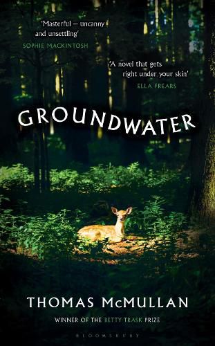 Cover image for Groundwater