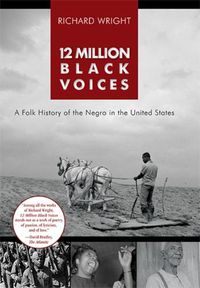 Cover image for 12 Million Black Voices