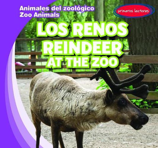 Los Renos / Reindeer at the Zoo