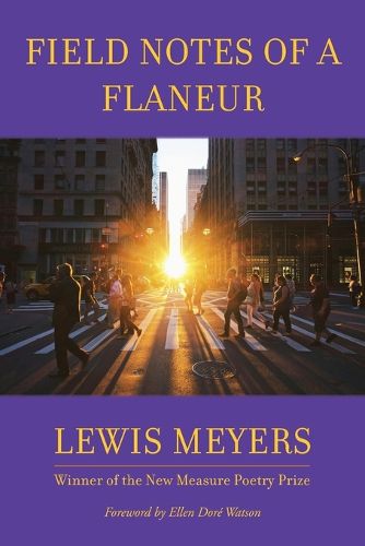 Cover image for Field Notes of a Flaneur
