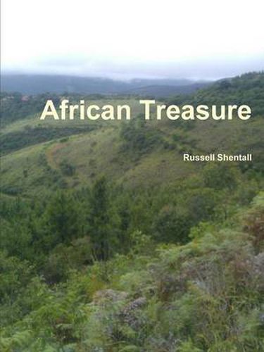 Cover image for African Treasure