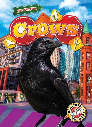 Cover image for Crows