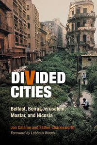 Cover image for Divided Cities: Belfast, Beirut, Jerusalem, Mostar, and Nicosia