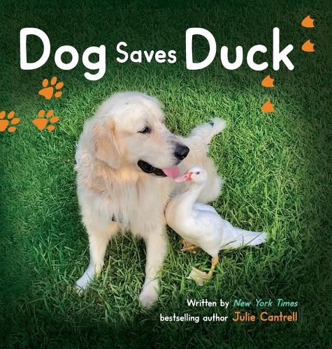 Cover image for Dog Saves Duck