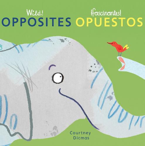 Cover image for Opposites/Opuestos