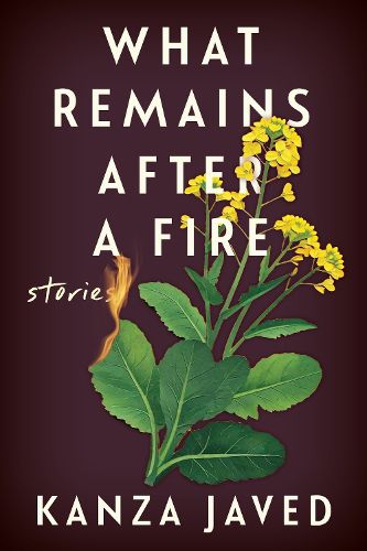Cover image for What Remains After a Fire