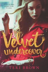 Cover image for Velvet Undercover