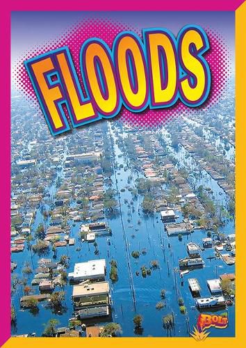Cover image for Floods
