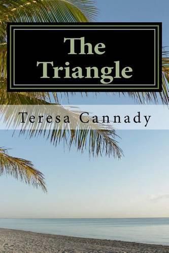 Cover image for The Triangle