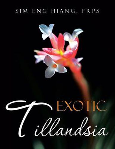 Cover image for Exotic Tillandsia