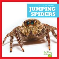 Cover image for Jumping Spiders