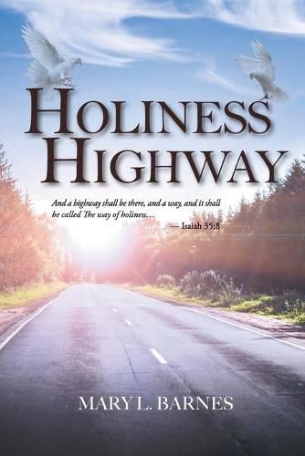 Cover image for Holiness Highway