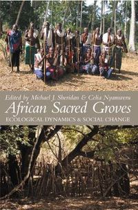 Cover image for African Sacred Groves: Ecological Dynamics and Social Change