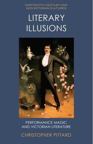 Cover image for Literary Illusions