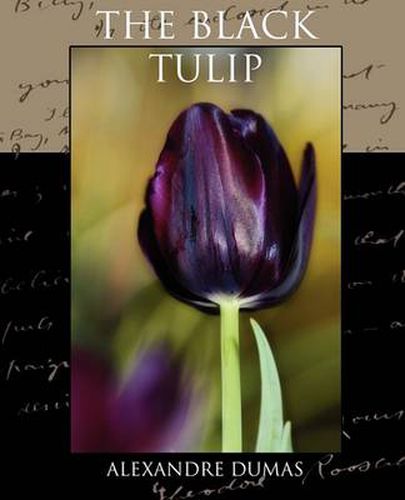 Cover image for The Black Tulip