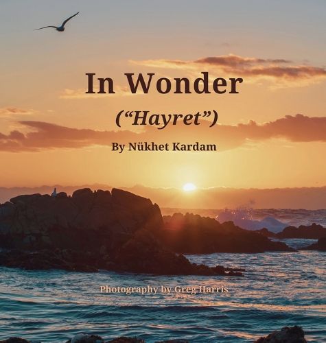 Cover image for In Wonder ("Hayret")