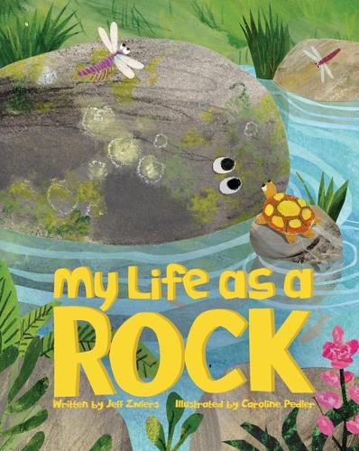 Cover image for My Life as a Rock