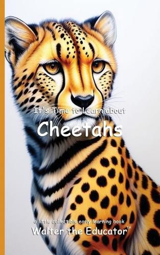 Cover image for It's Time to Learn about Cheetahs