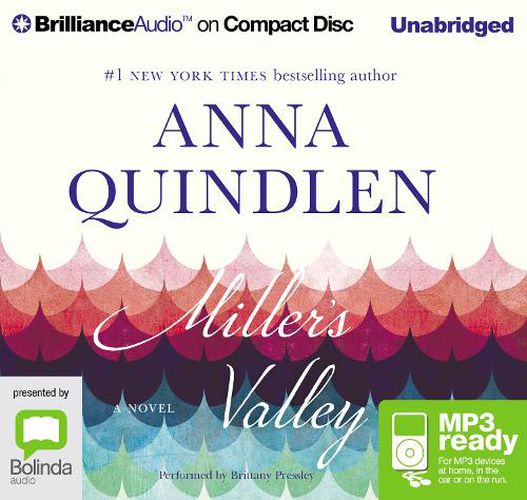 Cover image for Miller's Valley