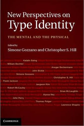 Cover image for New Perspectives on Type Identity: The Mental and the Physical