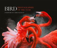 Cover image for Bird Photographer of the Year: Collection 3
