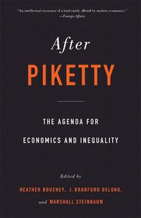 Cover image for After Piketty: The Agenda for Economics and Inequality