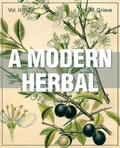 Cover image for Modern Herbal Vol 2