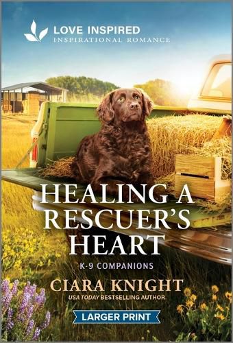 Cover image for Healing a Rescuer's Heart