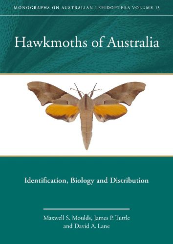 Cover image for Hawkmoths of Australia: Identification, Biology and Distribution