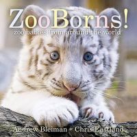 Cover image for Zooborns!: Zoo Babies from Around the World