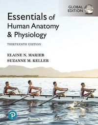 Cover image for Essentials of Human Anatomy & Physiology, Global Edition