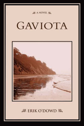Cover image for Gaviota