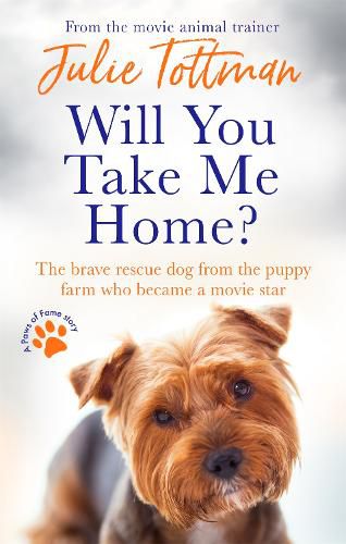 Cover image for Will You Take Me Home?: The brave rescue dog from the puppy farm who became a movie star