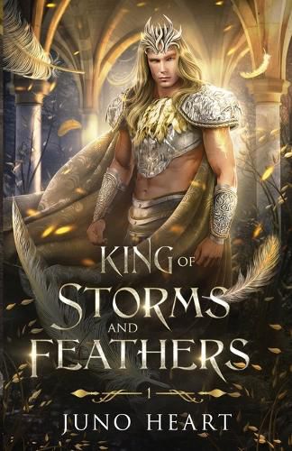 Cover image for King of Storms and Feathers