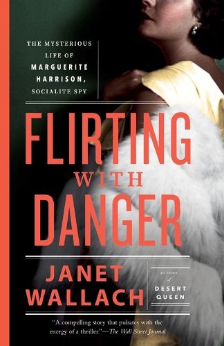 Cover image for Flirting with Danger