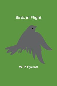 Cover image for Birds in Flight