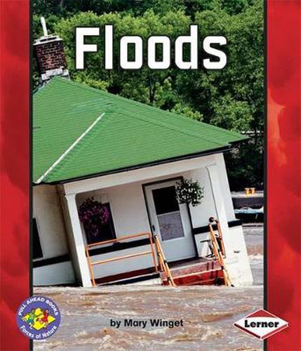 Cover image for Floods