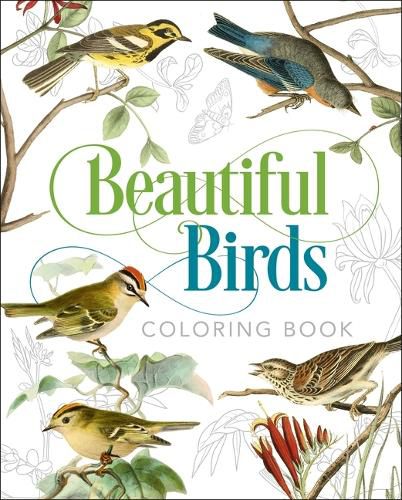 Cover image for Beautiful Birds Coloring Book