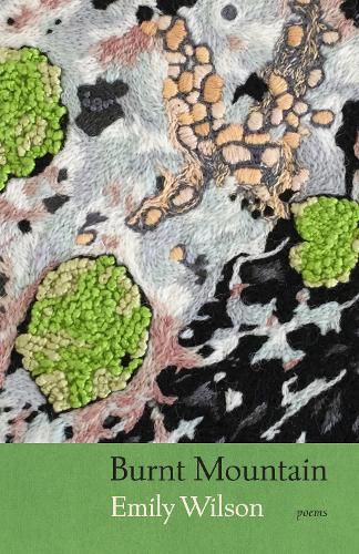 Cover image for Burnt Mountain