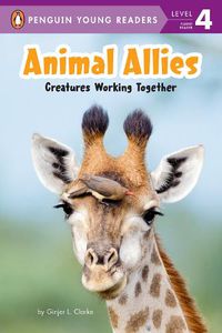 Cover image for Animal Allies