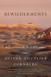 Cover image for Bewilderments: Reflections on the Book of Numbers