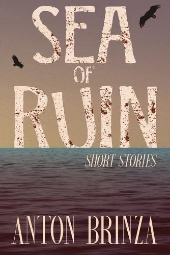 Cover image for Sea of Ruin