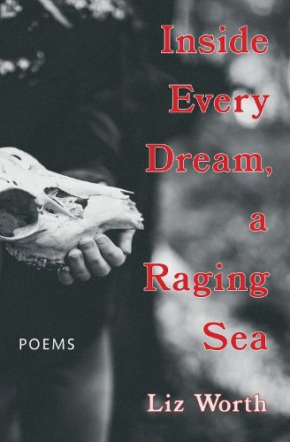 Inside Every Dream, a Raging Sea