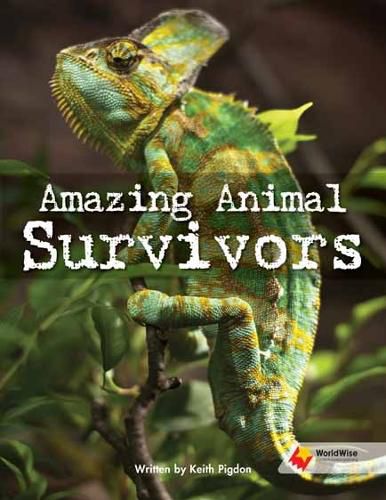 Cover image for Amazing Animal Survivors